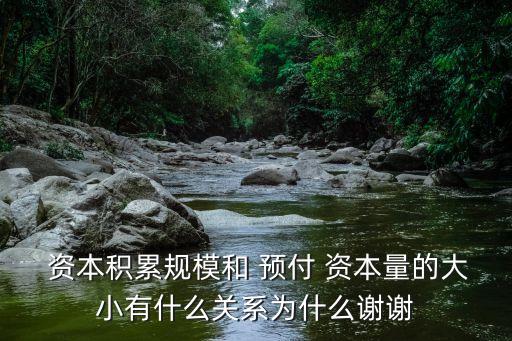  資本積累規(guī)模和 預(yù)付 資本量的大小有什么關(guān)系為什么謝謝