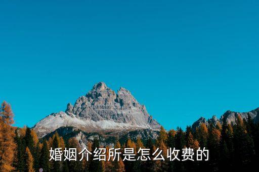 婚姻介紹所是怎么收費(fèi)的