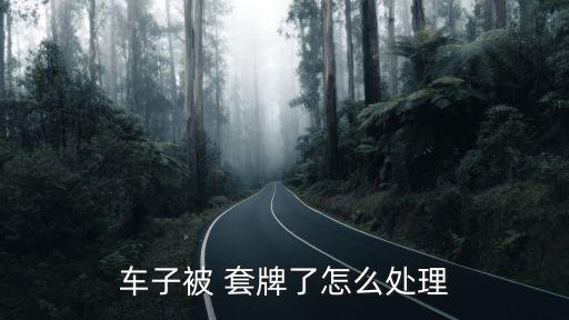 車子被 套牌了怎么處理