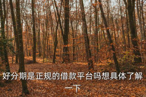 好分期