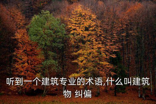 聽(tīng)到一個(gè)建筑專業(yè)的術(shù)語(yǔ),什么叫建筑物 糾偏