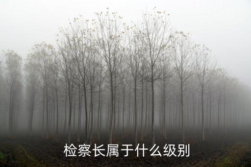  檢察長(zhǎng)屬于什么級(jí)別