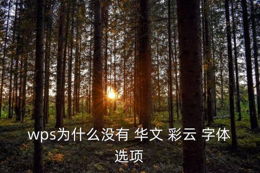 wps為什么沒有 華文 彩云 字體選項