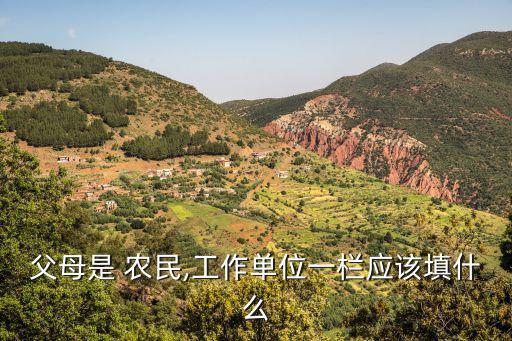 農民是職業(yè)嗎,農民職業(yè)一般填寫什么