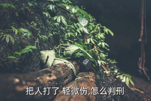 輕微傷怎么量刑,尋釁滋事輕微傷量刑標(biāo)準(zhǔn)