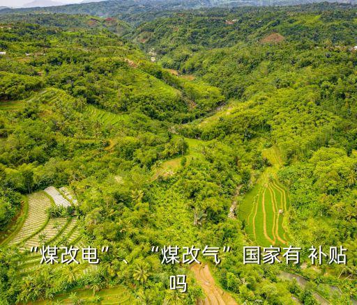 電價補貼,福建省垃圾焚燒電價補貼