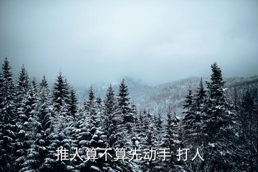  推人算不算先動手 打人