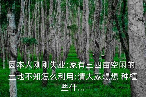 因本人剛剛失業(yè):家有三四畝空閑的 土地不知怎么利用:請(qǐng)大家想想 種植些什...