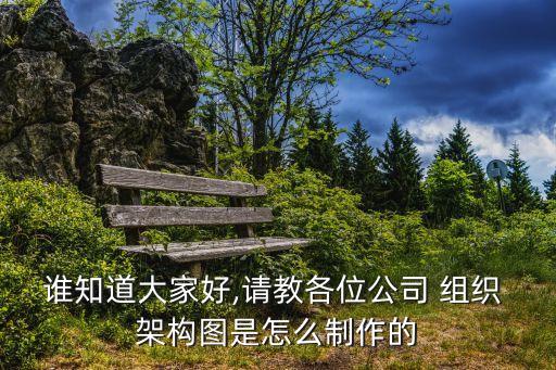 誰知道大家好,請教各位公司 組織 架構(gòu)圖是怎么制作的