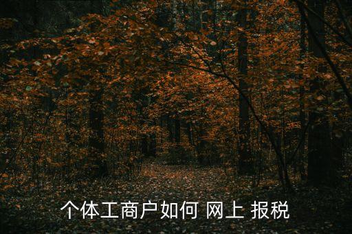 個(gè)體工商戶如何 網(wǎng)上 報(bào)稅