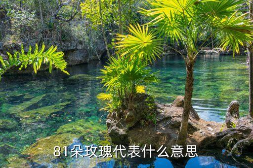 81是什么意思,8107是什么意思