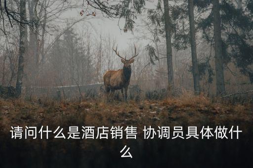 請問什么是酒店銷售 協(xié)調(diào)員具體做什么