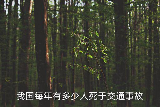 車禍死亡人數(shù),2022年中國(guó)車禍死亡人數(shù)