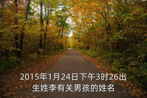 2015年1月24日下午3時26出生姓李有關男孩的姓名