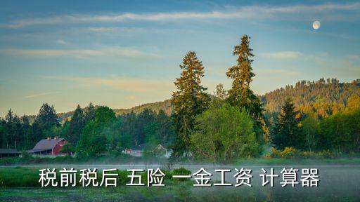 上海五險一金計算器,23年上海五險一金計算器