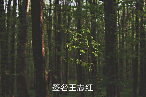 馬小紅