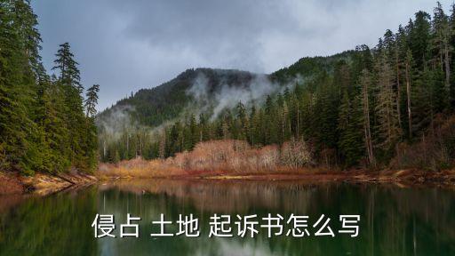 侵占 土地 起訴書怎么寫