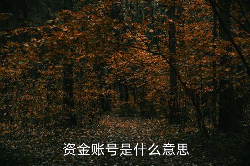 資金賬戶