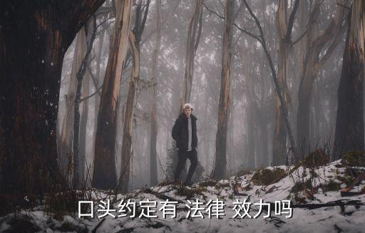 口頭約定有 法律 效力嗎
