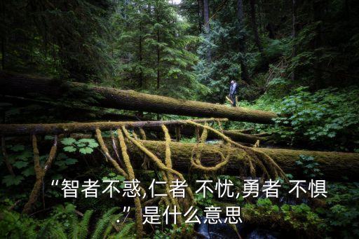 不憂不懼,孔子曾經(jīng)說過君子不憂不懼