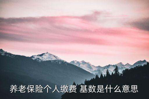 養(yǎng)老保險個人繳費 基數(shù)是什么意思