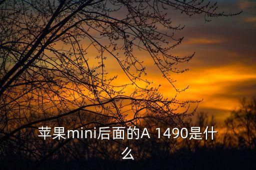 蘋果mini后面的A 1490是什么