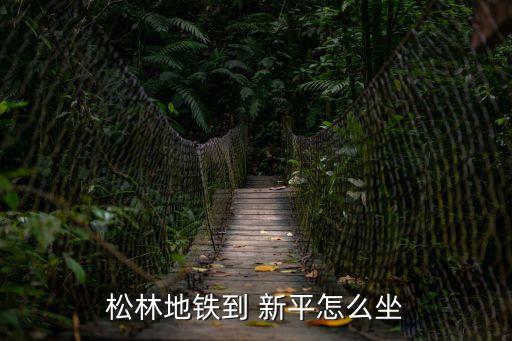 松林地鐵到 新平怎么坐