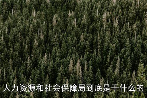 人力資源和社會保障局到底是干什么的