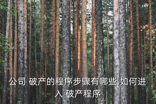 公司 破產(chǎn)的程序步驟有哪些,如何進(jìn)入 破產(chǎn)程序