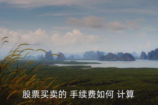 股票買賣的 手續(xù)費(fèi)如何 計(jì)算