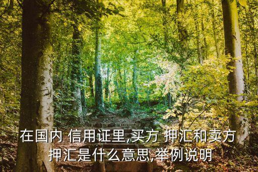 信用證押匯,進口遠(yuǎn)期信用證押匯