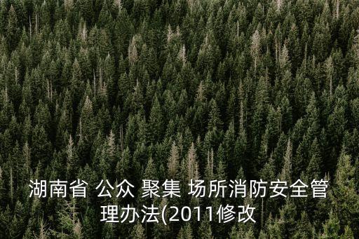 湖南省 公眾 聚集 場所消防安全管理辦法(2011修改