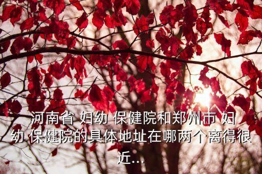 河南省婦幼保健院