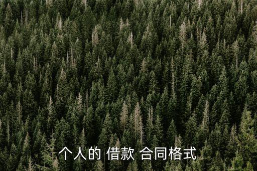 個人的 借款 合同格式