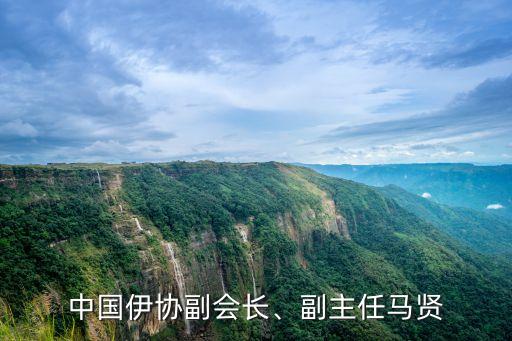 中國伊協(xié)副會長、副主任馬賢