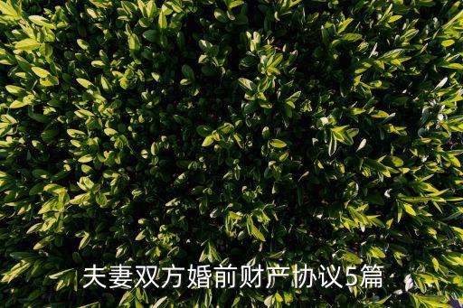  夫妻雙方婚前財(cái)產(chǎn)協(xié)議5篇