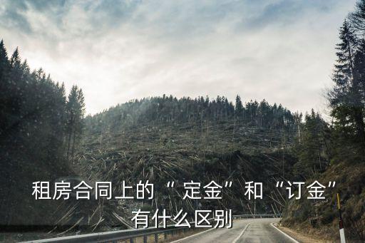  租房合同上的“ 定金”和“訂金”有什么區(qū)別
