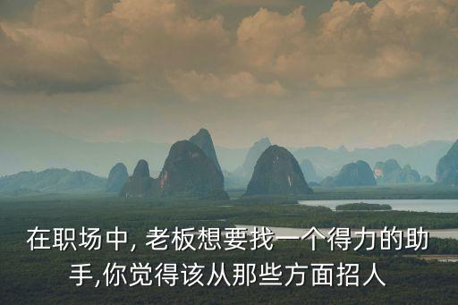 老板我想要