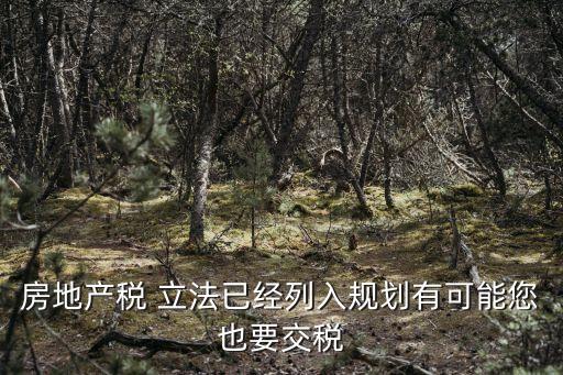 房地產(chǎn)稅 立法已經(jīng)列入規(guī)劃有可能您也要交稅