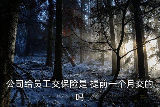公司給員工交保險(xiǎn)是 提前一個(gè)月交的嗎