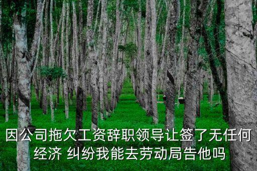 因公司拖欠工資辭職領導讓簽了無任何 經(jīng)濟 糾紛我能去勞動局告他嗎