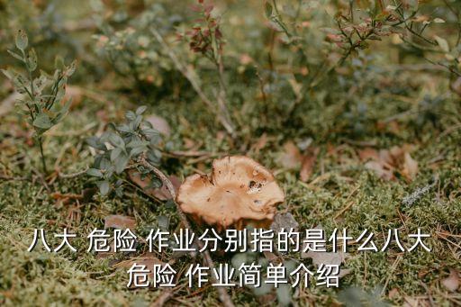 危險作業(yè)包括哪些,安全檢修的危險作業(yè)包括哪些