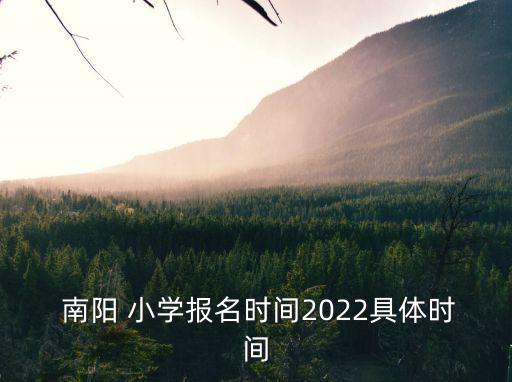  南陽 小學報名時間2022具體時間