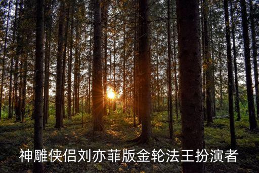 神雕俠侶劉亦菲版金輪法王扮演者