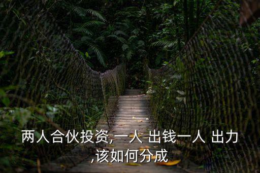一個(gè)出錢一個(gè)出力股份怎么分,美甲店一個(gè)出錢一個(gè)出力股份怎么分