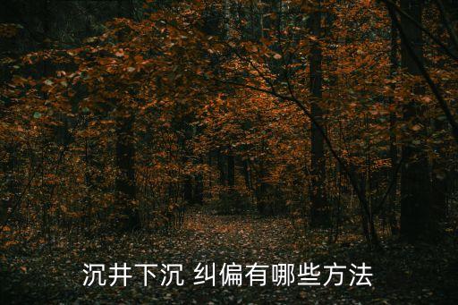 糾偏