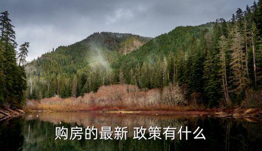 購房的最新 政策有什么