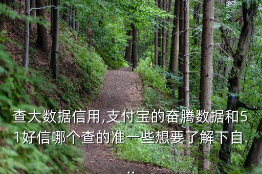 查大數(shù)據(jù)信用,支付寶的奮騰數(shù)據(jù)和51好信哪個查的準(zhǔn)一些想要了解下自...