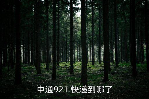 中通921 快遞到哪了