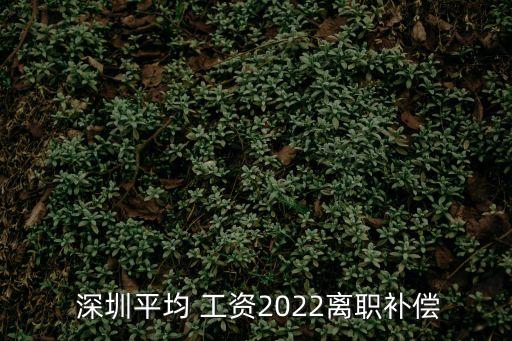 深圳勞動合同工資,勞動合同上沒有寫明工資,有什么問題啊